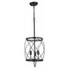 3-Lights traditional light fixture black hanging light iron and resin pendant light