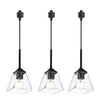 3-Pack farmhouse pendant light black and clear hangable light metal and glass track mount light