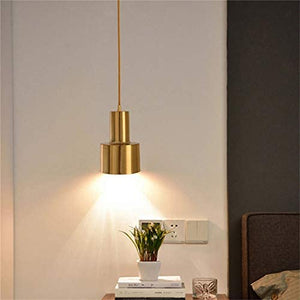 Modern Nordic Pendant Light Hanging Lamp win Gold Copper Luxury Iron LED